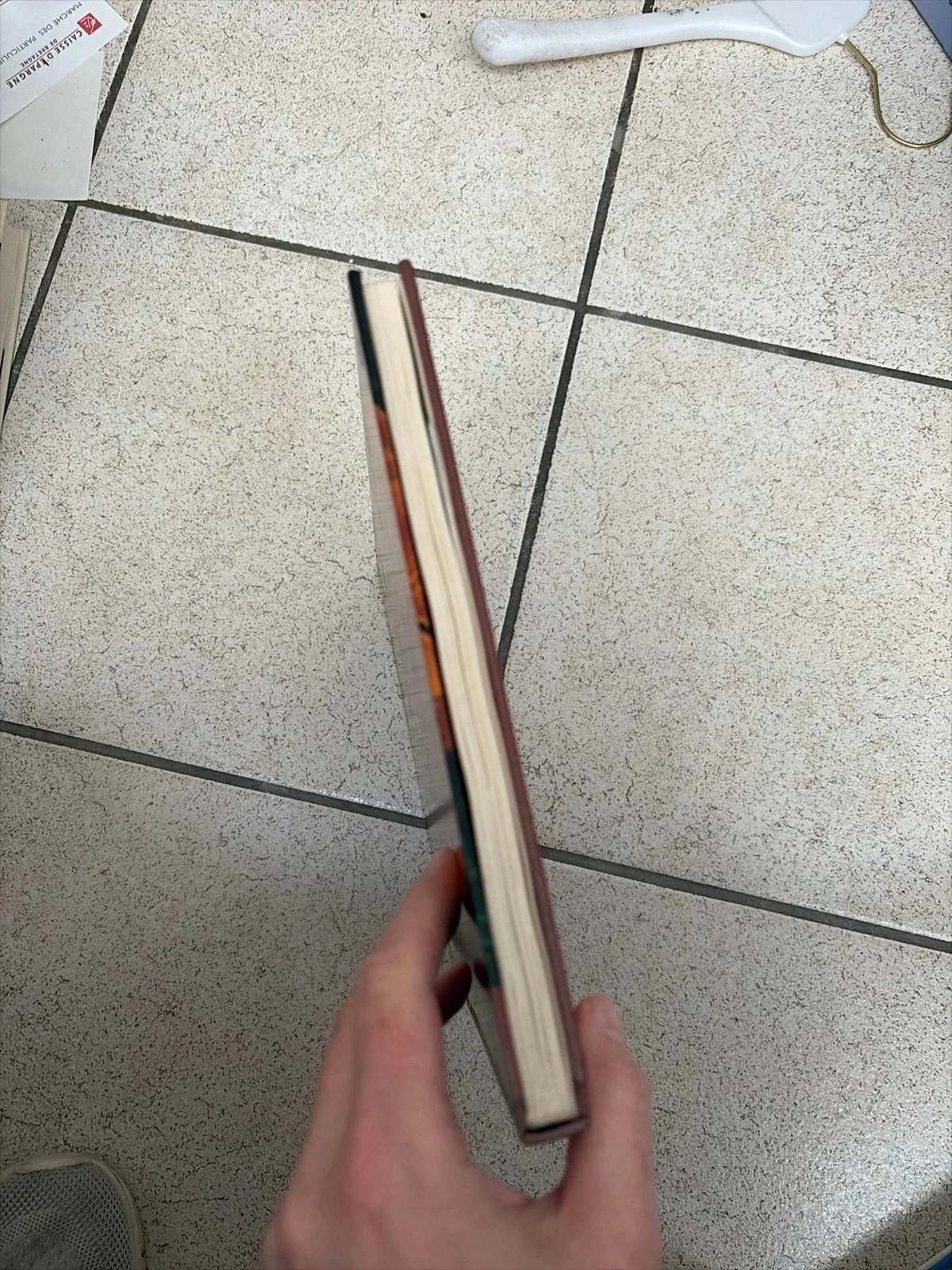 Jaarlijks plantenboek – photo 4